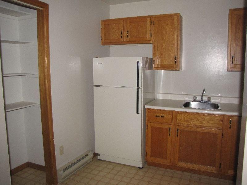 Very clean and quiet 1 bedroom apartment