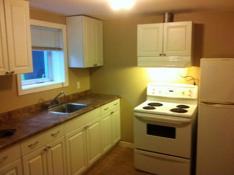 Newly renovated Mt. Pearl 1 Bedroom Apartment