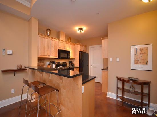 Executive condo downtown , fully furnished!