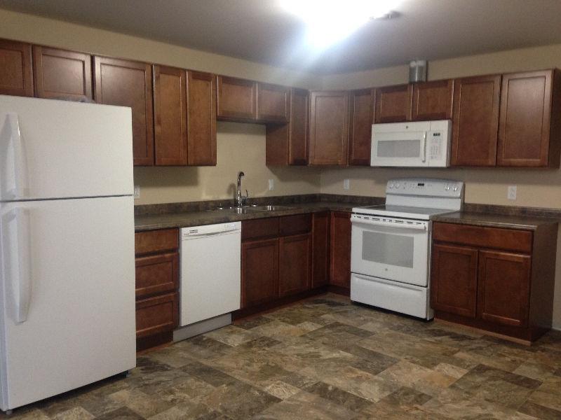 Brand new 2 bedroom basement apartment