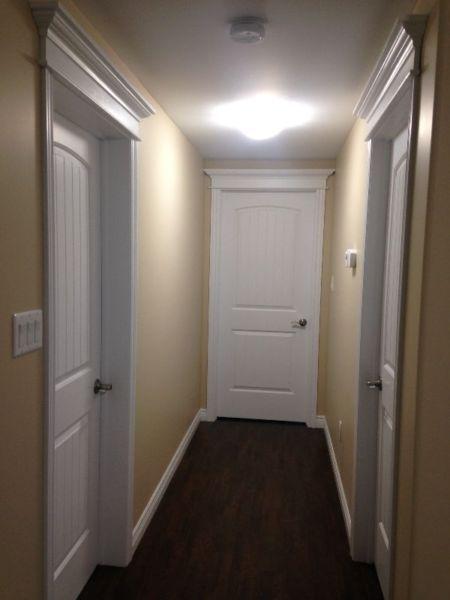 Brand new 2 bedroom basement apartment
