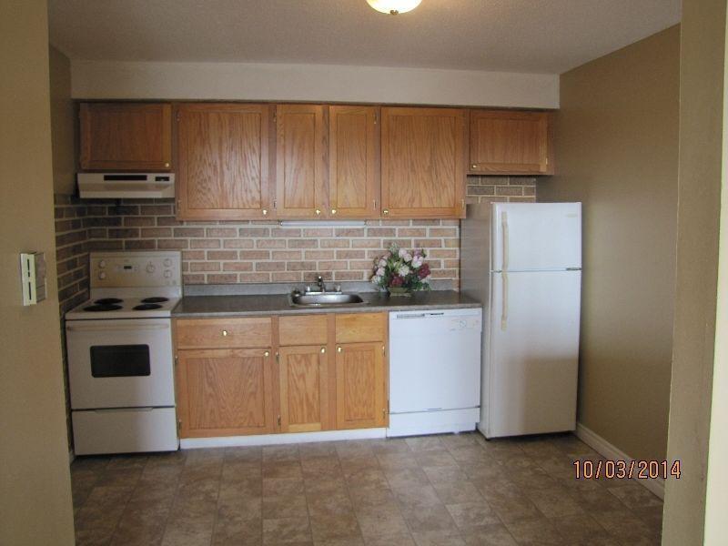 Cozy 2 bedroom apartment. Heat and lights included. East SJ