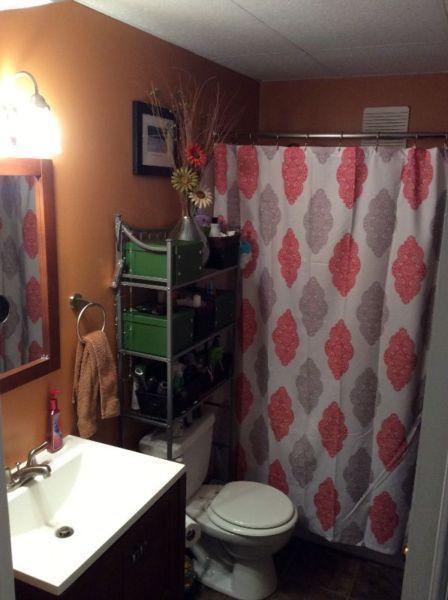 2 bedroom basement apartment in Portugal Cove