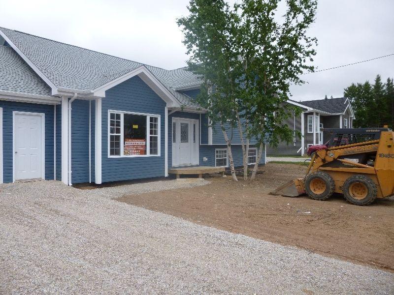 almost new home in great deer lake subdivision
