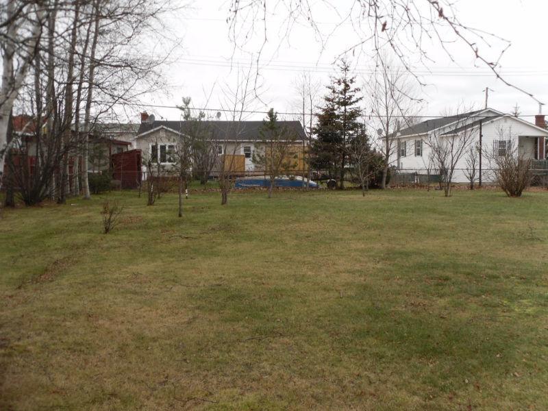 Beautiful Home on an Extra Large Lot of Land in Botwood!