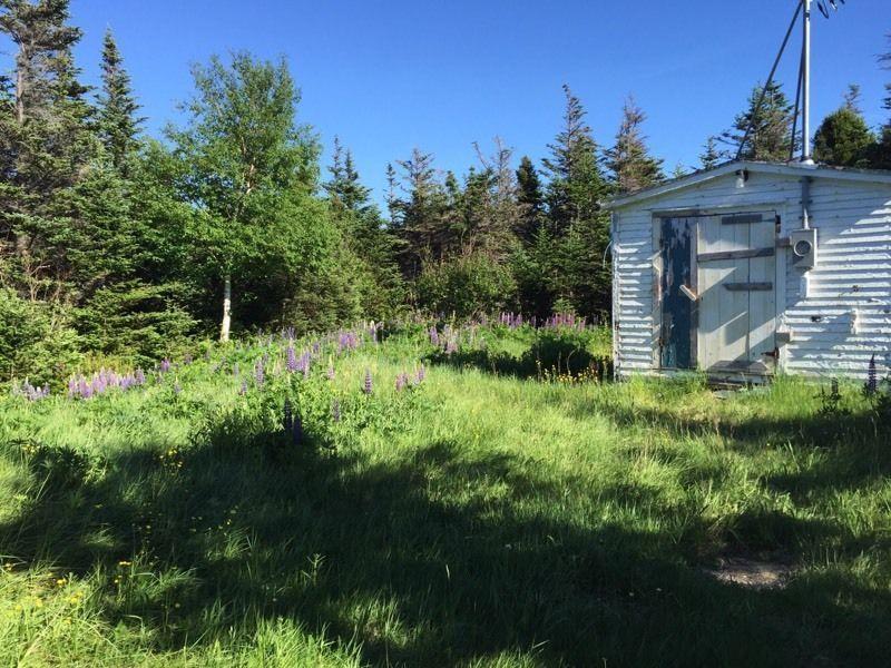 House! Could be Yours (Middle Amherst Cove)