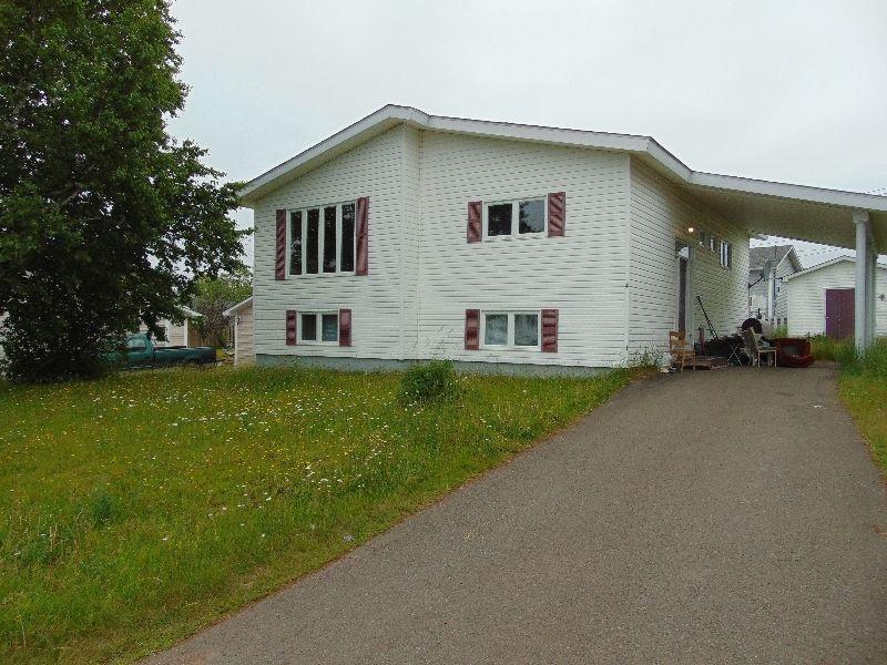 HANDYMAN'S PARADISE IN THE MIDDLE OF SNOWMOBILE COUNTRY