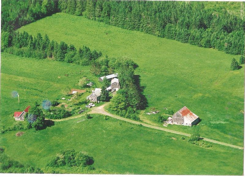Farm with two houses and studio