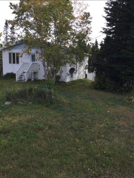 ROOMS FOR RENT IN MAIN BROOK NL