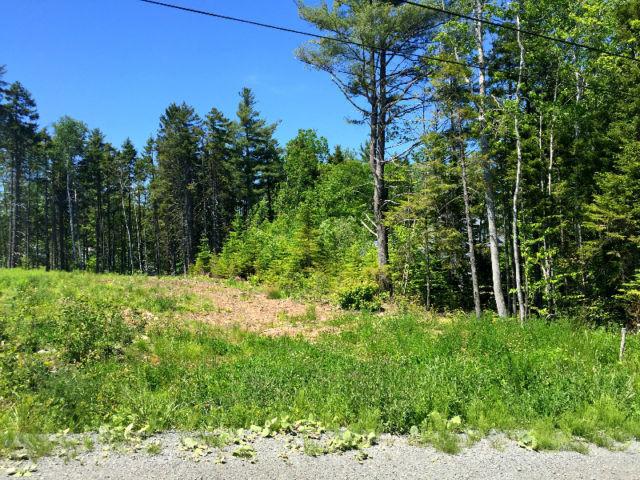 10,840 Sq Ft Lot with Municipal Water and Sewer, cleared, culver