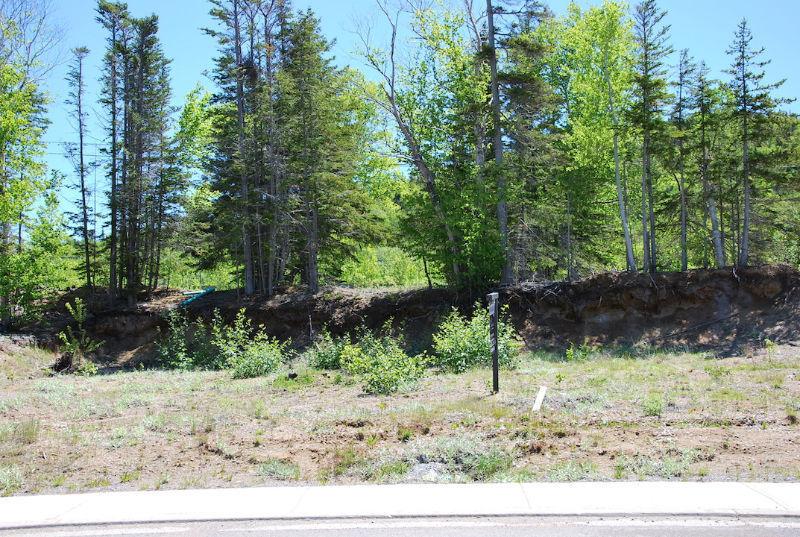 5 South Brook Point, Lot#47-Muriel or Richard-NL Island Realty