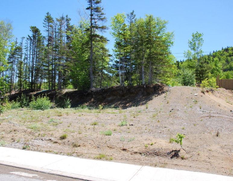 5 South Brook Point, Lot#47-Muriel or Richard-NL Island Realty