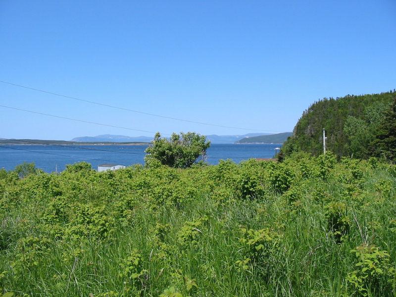 948 South Shore Hwy, Frenchman's Cove-Perry-NL Island Realty