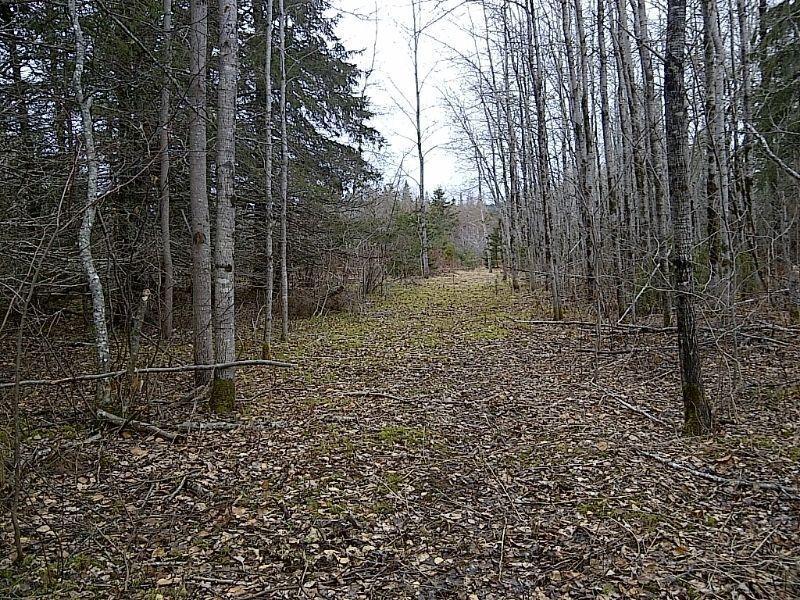 Acreage for sale in Marrtown, just outside Sussex, NB