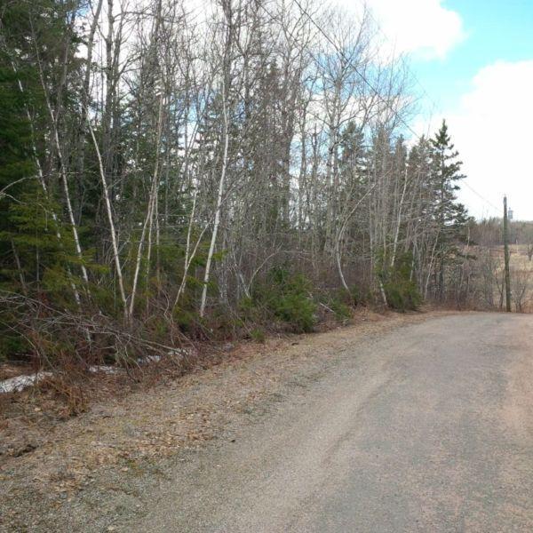 Acreage for sale in Marrtown, just outside Sussex, NB