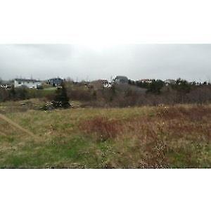 3 Large Lots in Torbay