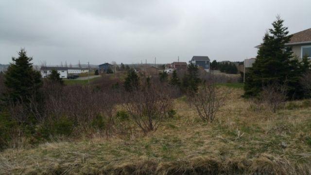 3 Large Lots in Torbay