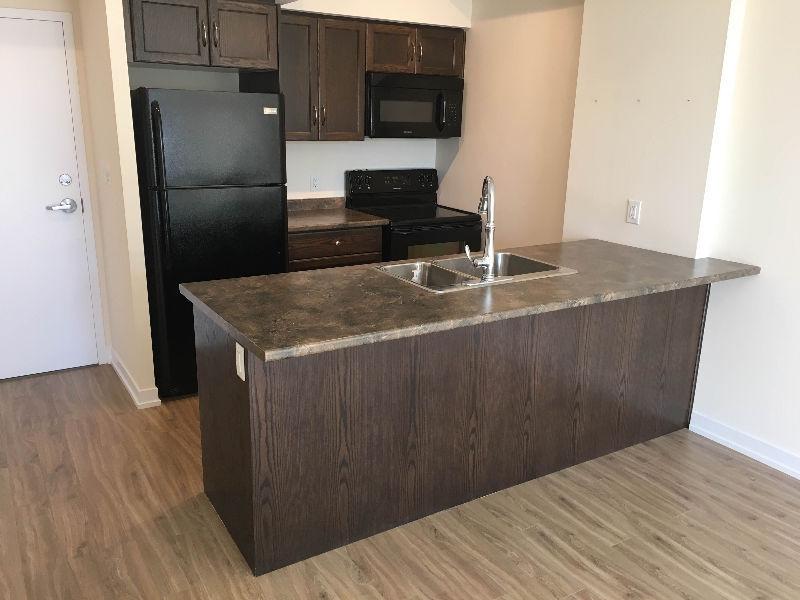 1 Bedroom Executive Condo with Parking Spot (Avail Aug 1st)