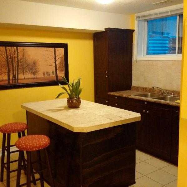 Quality Constructed, Bright 1 BR Basement Apartment- South End