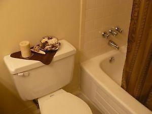 Regency Court Kathleen 1BR