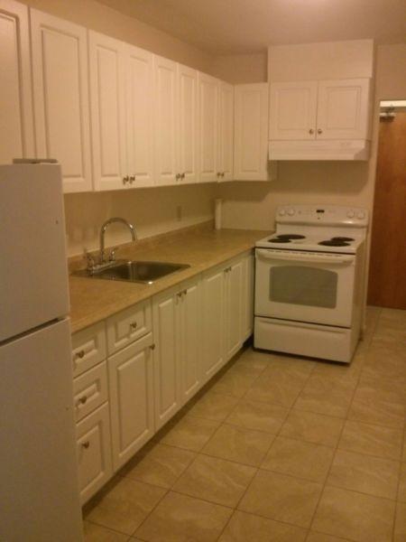 Downtown  - Large Newly Renovated 1 Bedroom