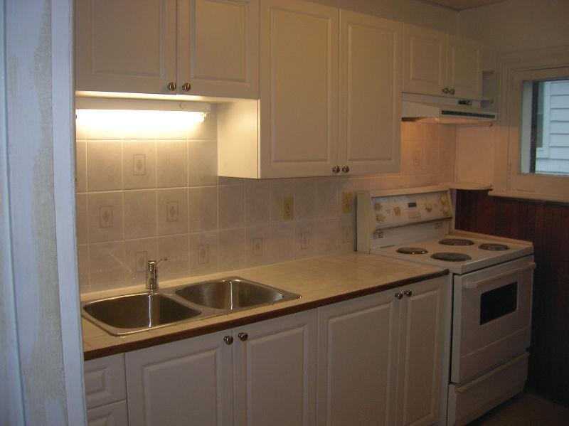 Large 1.5 bedroom close to Downtown and major amenities