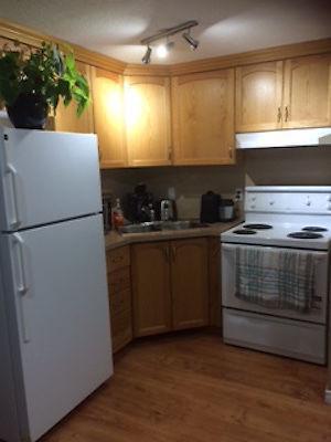 1 BEDROOM APARTMENT IN DUPLEX, NOT ON BASEMENT LEVEL, BACK YARD