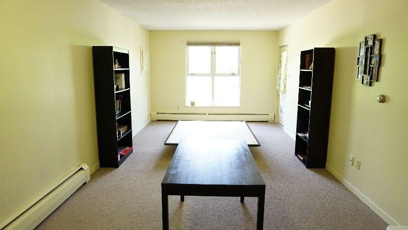 Sublet or Relet: Clean 1 Bed Room Apartment in University