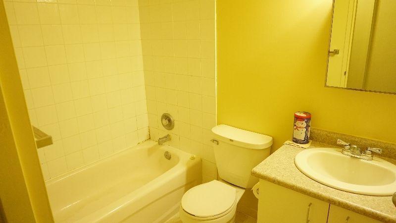 Sublet or Relet: Clean 1 Bed Room Apartment in University