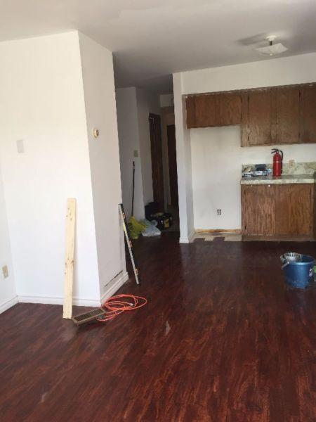 July-half, Newly reno 2 BDRM Main Floor Apt, downtown Alexandria