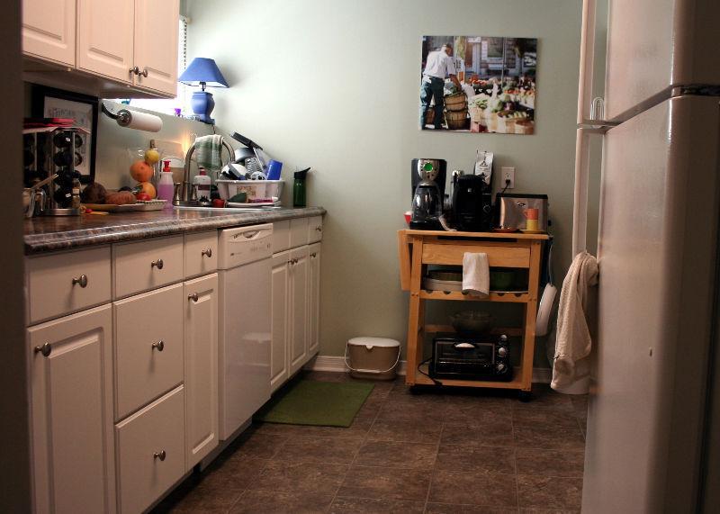 Beautiful 2-bdrm basement apt All-Inclusive Available August 1st