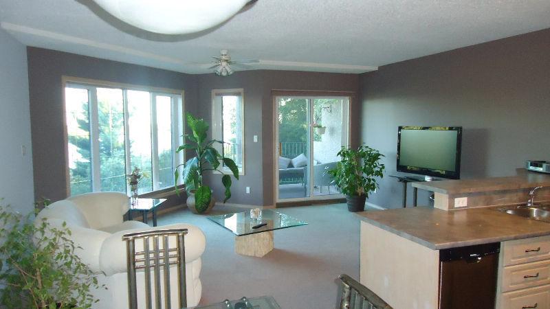 Condo in Keewatin with Incredible View of Lake of the Wood