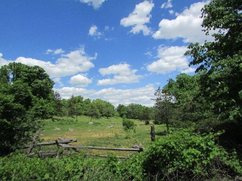 REDUCED TO $305k! Working Farm - 315 Abrams Road - 104 Acres