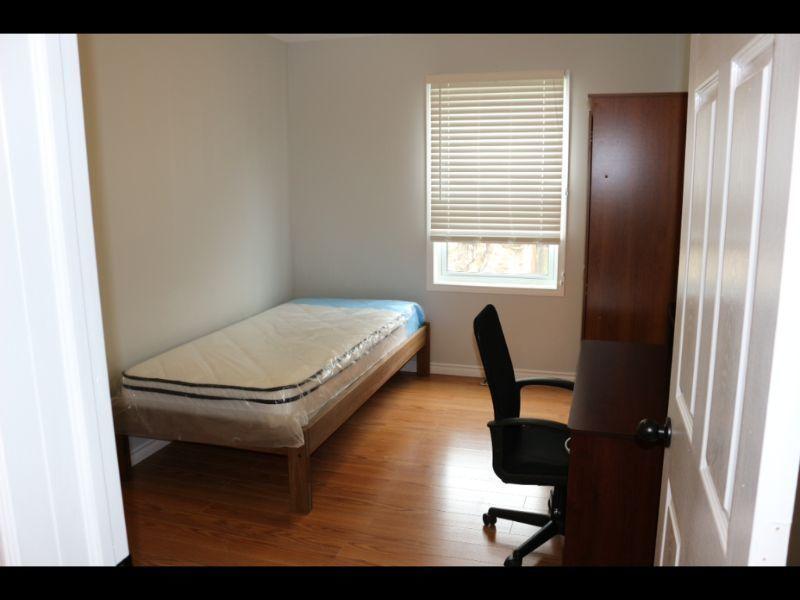 1 bedroom left in this 4 bedroom student home - female only