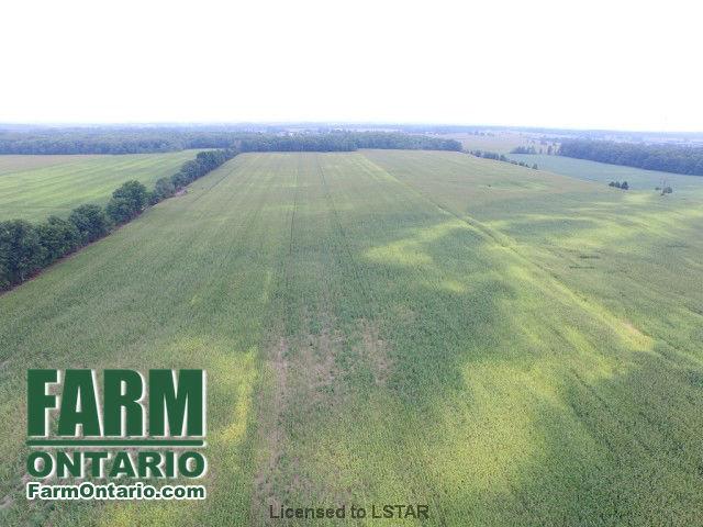 Productive Sandy Clay Loam Soil Farm on Quiet Deadend Road!