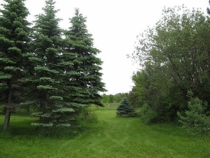 3.6 Acres with Deeded Access to St Lawrence, BAINSVILLE