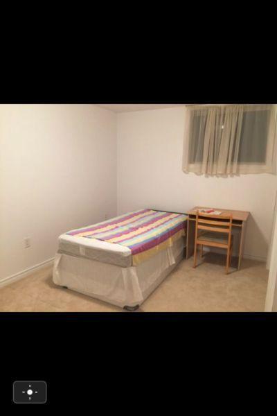 BASEMENT Rooms for Rent Immediately