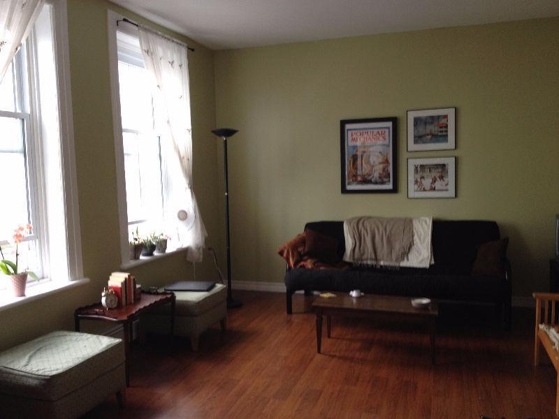 One Bedroom in a Two Bedroom Apartment Downtown