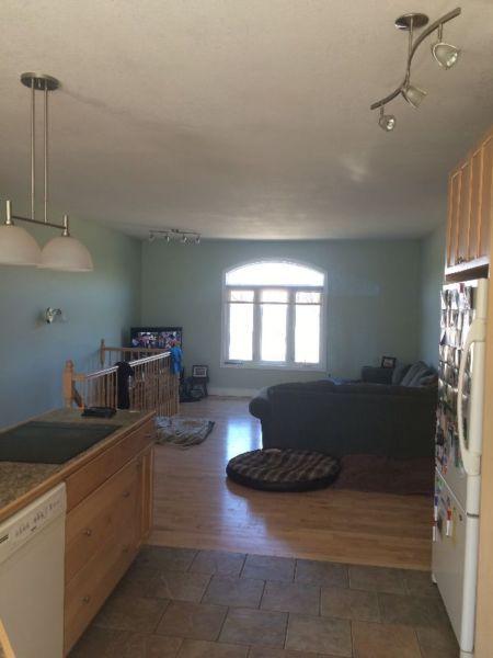 Short or Long Term Available