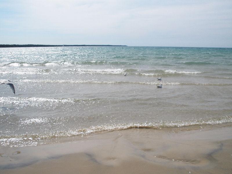 BEACHFRONT Condo in beautiful Port Elgin