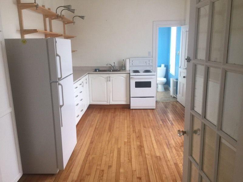Beautiful large one bedroom apartment in the Glebe