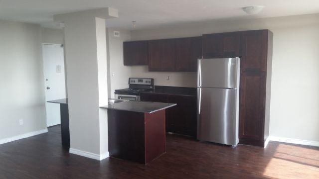 Newly Upgraded One Bedroom Apartment for Rent $1050+hydro