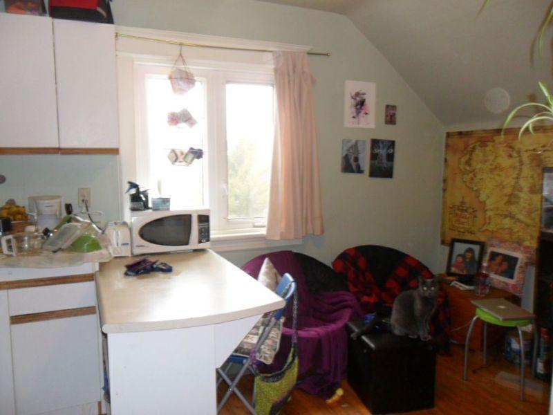 STILL AVAILABLE AUG 1 - All In w WIFI - Small One Bedroom