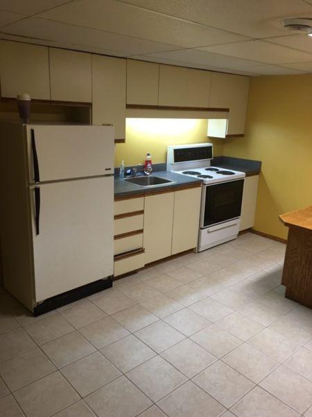 Large 1 bedroom basement apartment