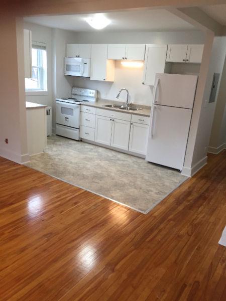 Completely renovated 2 Bedroom