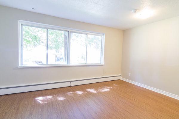 Renovated Apts for Rent in Sandy Hill! Steps to Downtown!