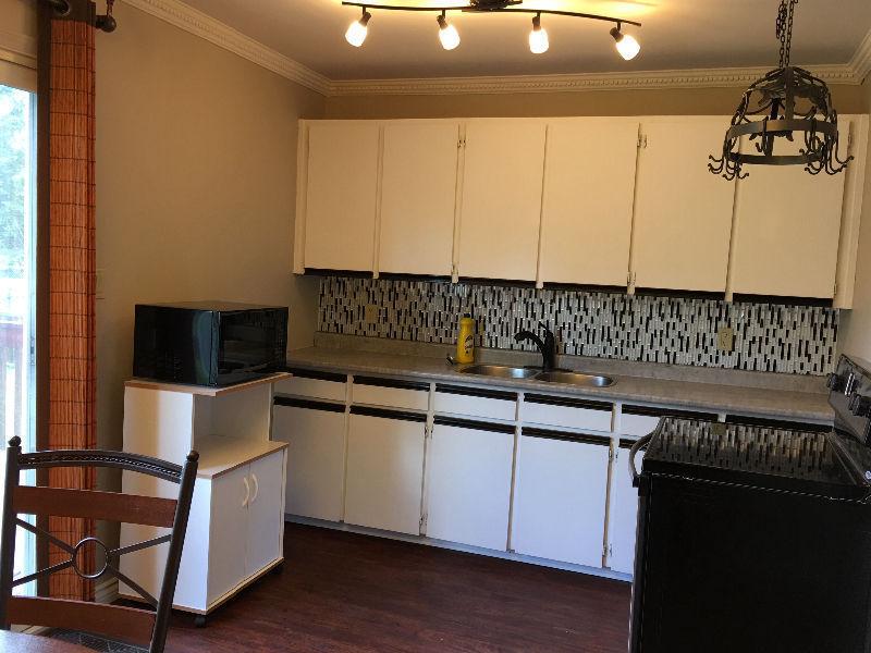 Fully Renovated 3-Bedroom House - Easy Access to University