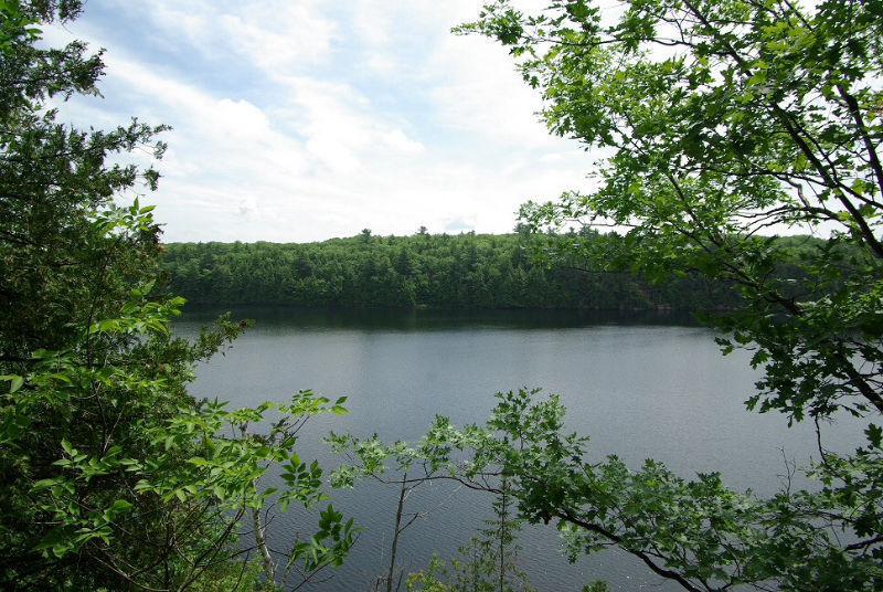 Waterfront land on Salmon Lake