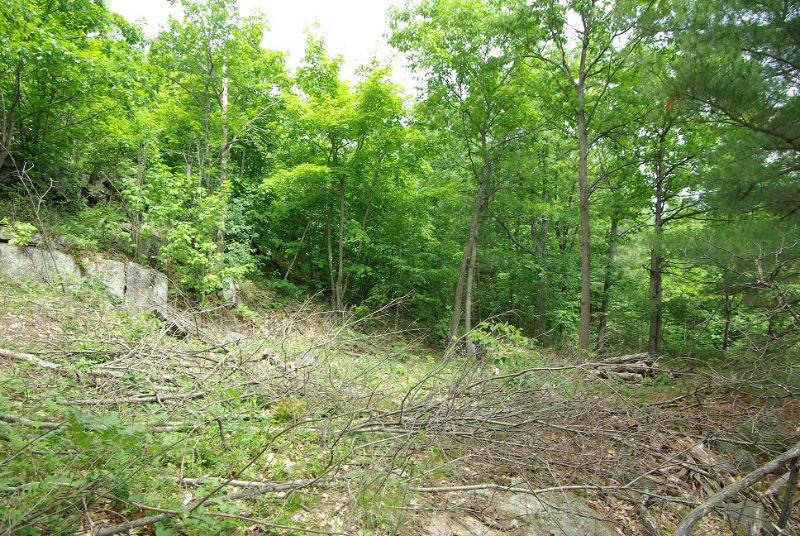 Waterfront land on Salmon Lake