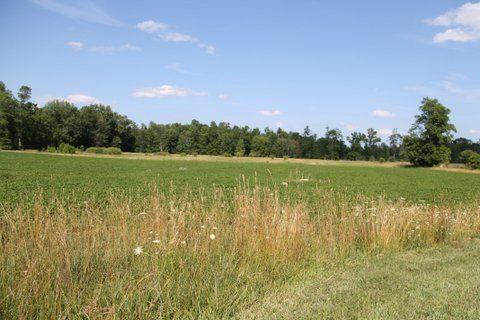 197.32 Agricultural/Recreational Acres For Sale